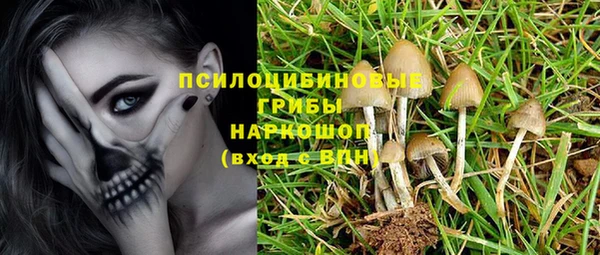 дмт Алексеевка