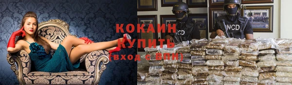 дмт Новодвинск
