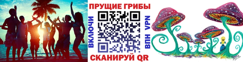 Псилоцибиновые грибы Psilocybe Харовск