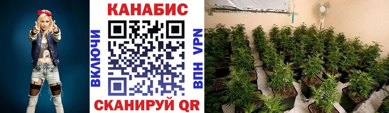 blacksprut ссылки Харовск Бошки марихуана индика